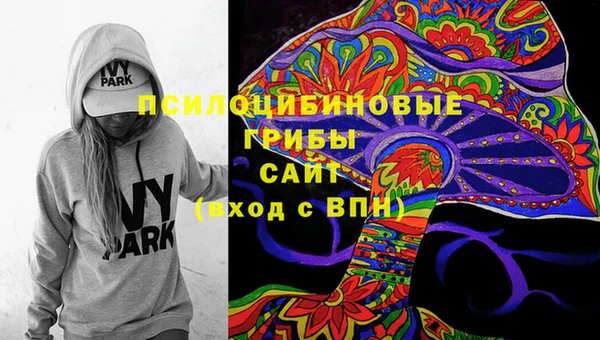 крисы Алзамай