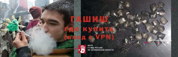 крисы Алзамай