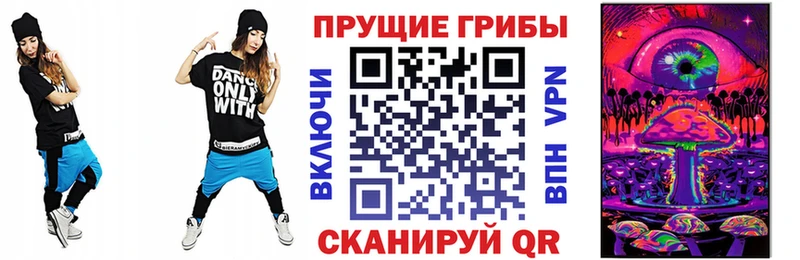 Псилоцибиновые грибы GOLDEN TEACHER  ссылка на мегу маркетплейс  Ардон 